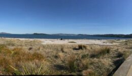 A day by the sea is a great break