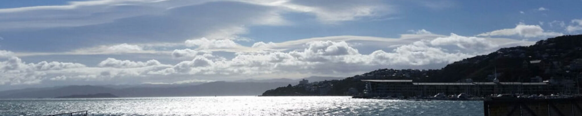 wellington3