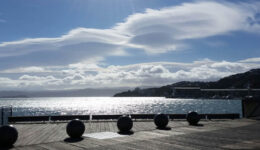 wellington3