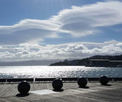 wellington3