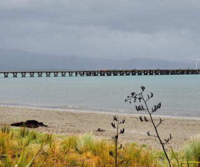 wellington1