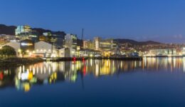 wellington12