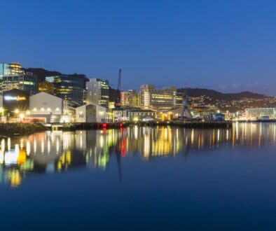 wellington12